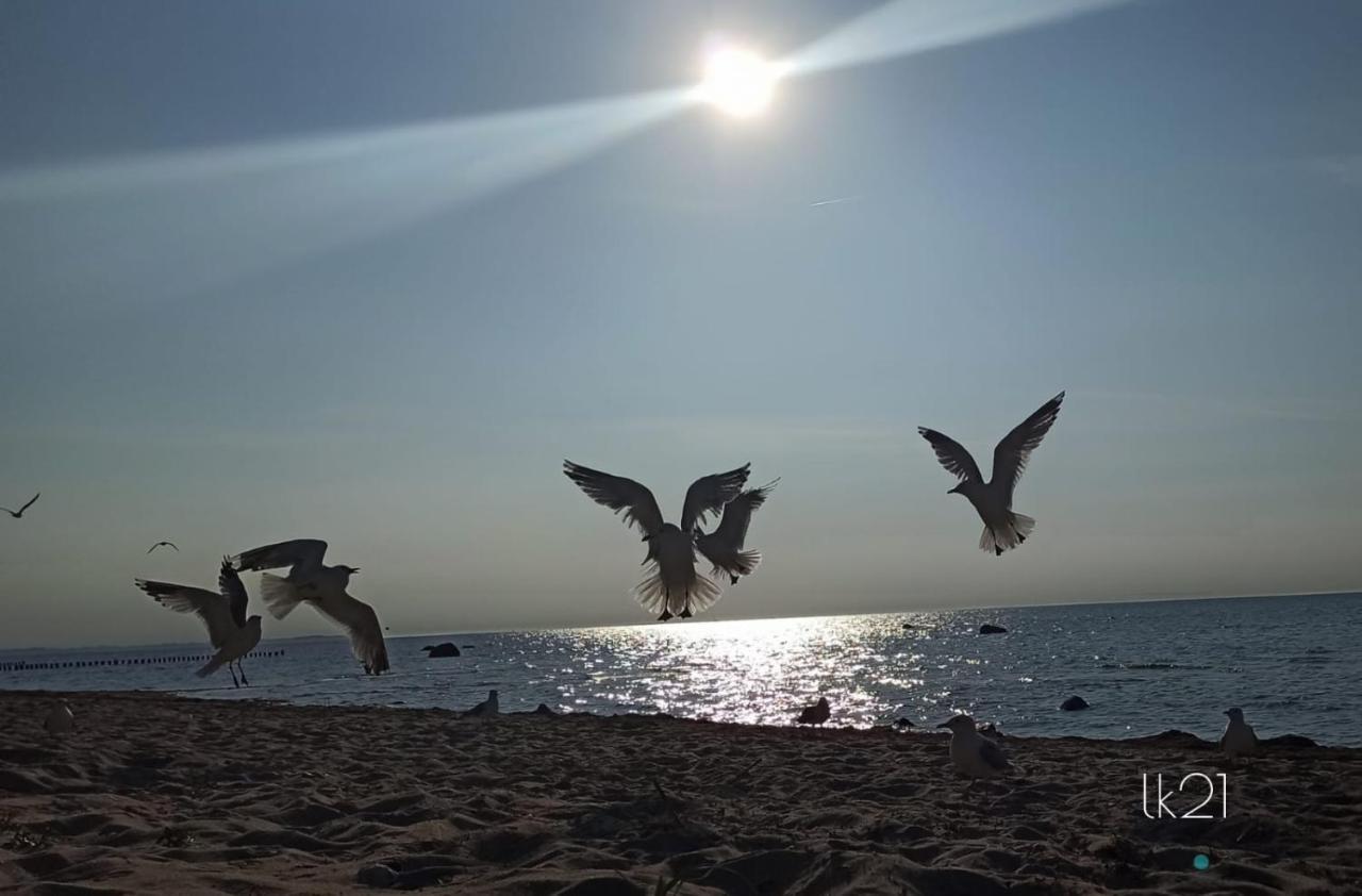 Fewo Abendrot Poel Exterior foto